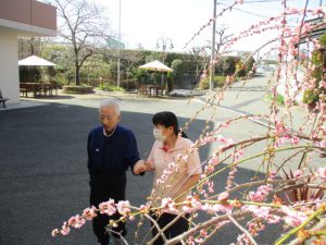 天気の良い日には🍀　令和4年3月20日