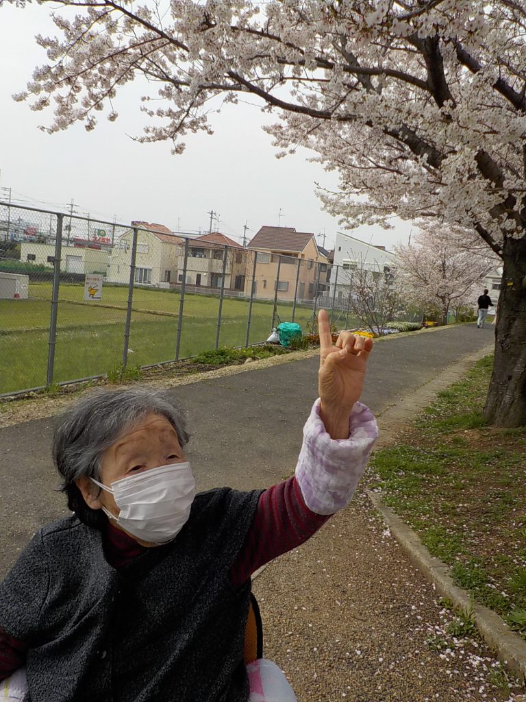 コロナ禍の花見(令和3年4月上旬）