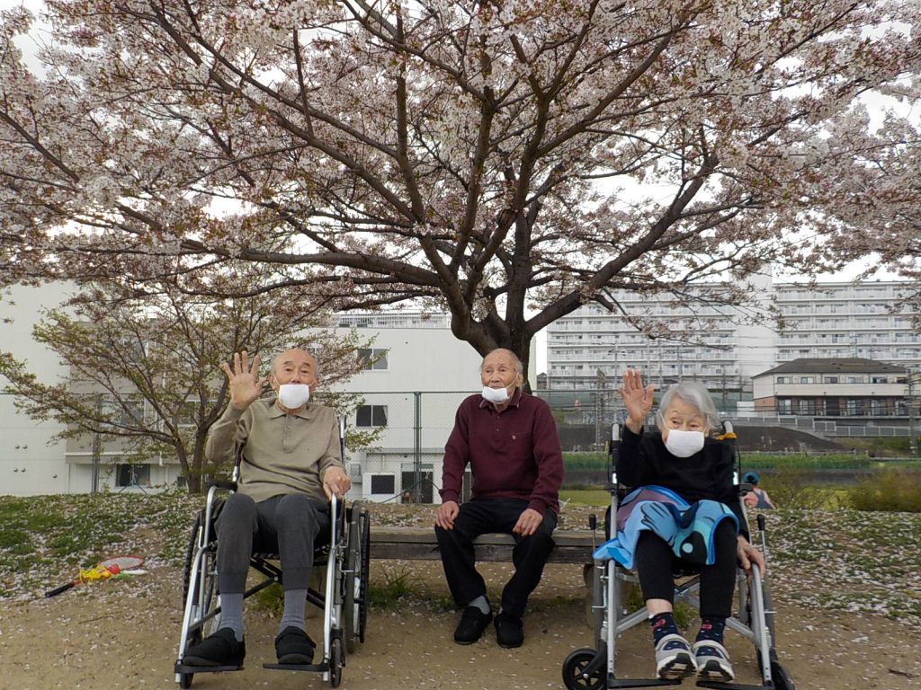 コロナ禍での満開の桜🌸（令和3年4月後半）