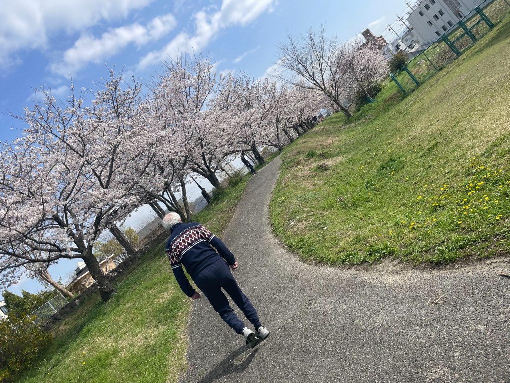 ～　咲くも良し、散るも良し、野の山桜　～（令和5年4月前半）