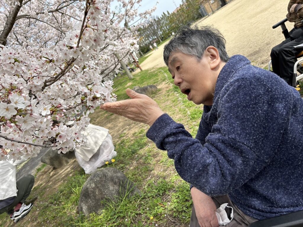 ～　さくら満開　～（令和6年4月前半）