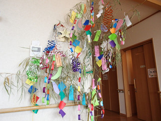 H・26・7月7日(月)☆☆♪笹の葉 サ~ラサラ~♪☆☆