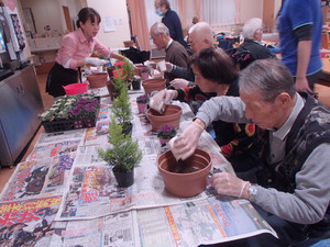 クリスマス～５月まで楽しめる寄せ植え作り♪