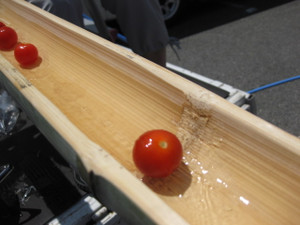 風流？流しそうめん（平成25年7月7日）
