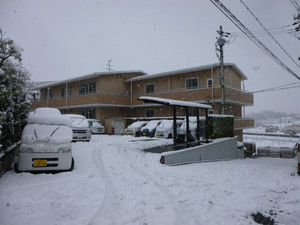 バレンタインデーは雪景色（平成26年2月14日）