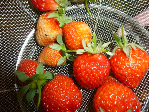 Photo_6