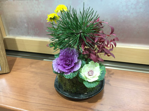 新しい年の始まり☆（平成２９年元旦）