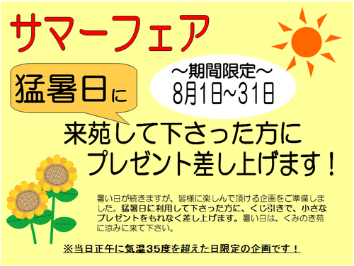 サマーフェア開始☀（ｈ25.8.1.）