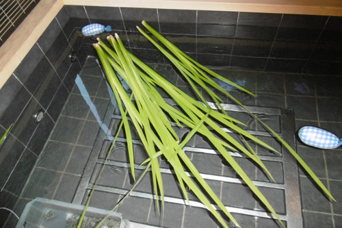 P1000583