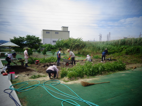 ☆サツマイモを植えました（平成２７年６月１日）☆