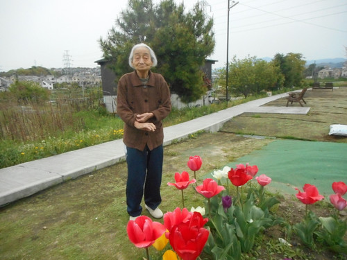 ☆チューリップが沢山（平成２８年４月３０日）☆