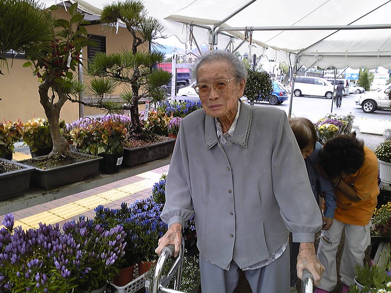 秋の花を飾りました。（Ｈ23年10月15日　ひなた）