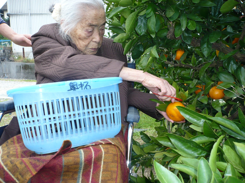 今年のみかんは、甘くて美味しかったよ！