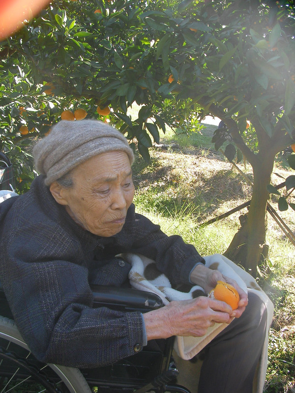 みかん狩り　　第2段