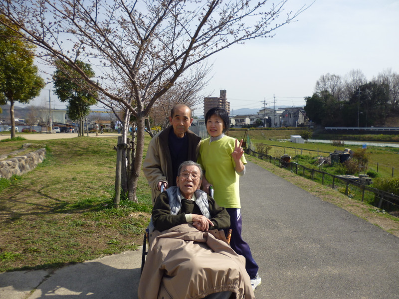 桜の花はもう少し！