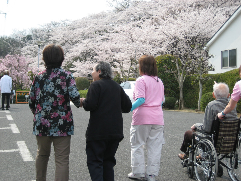 今日もお花見！（Ｈ24年4月10日　ひなた）