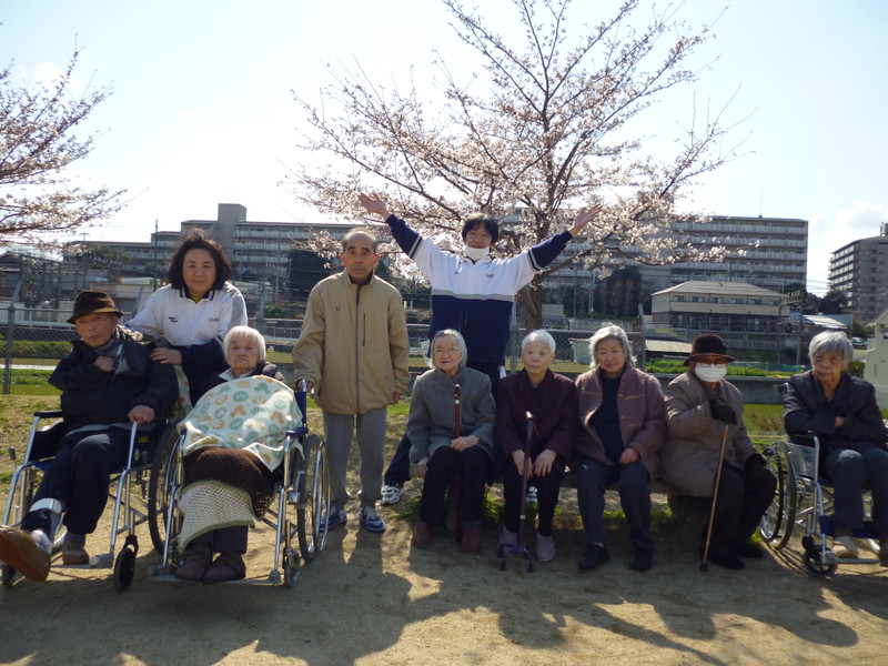 近くの公園も桜満開！