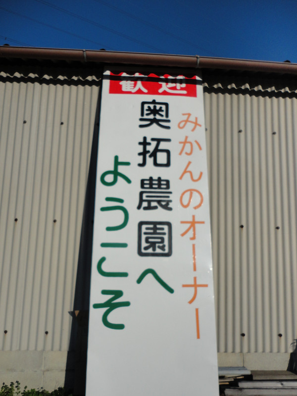 特養みかん狩り開始！（平成２４年１１月２６日）