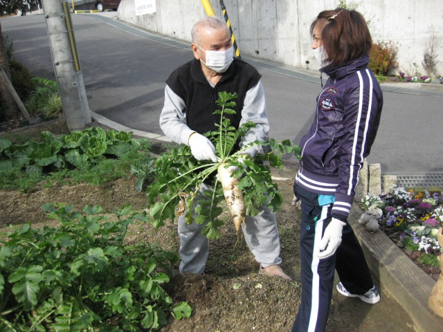 １２月２１日　　冬至