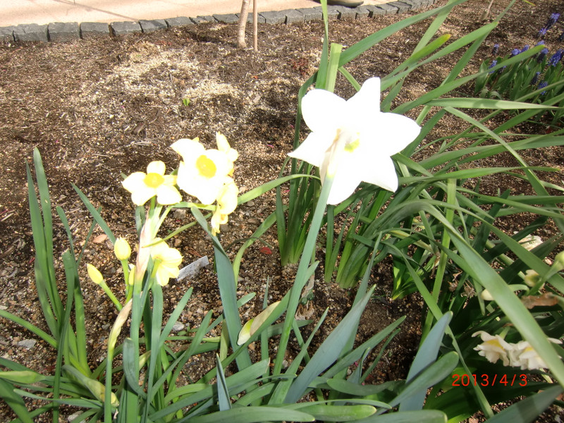 Photo_3