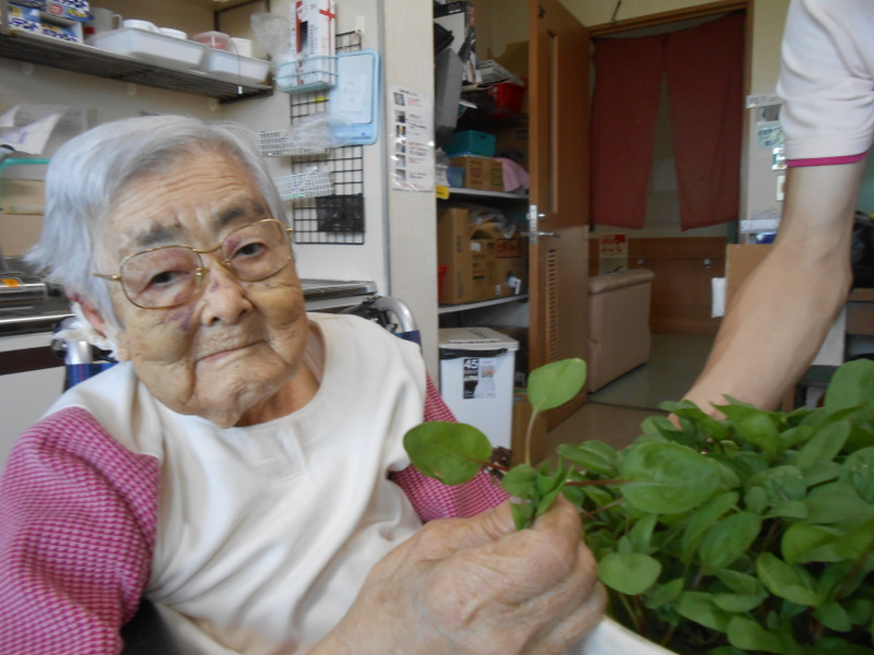 食べごろ！（平成２５年５月２４日）