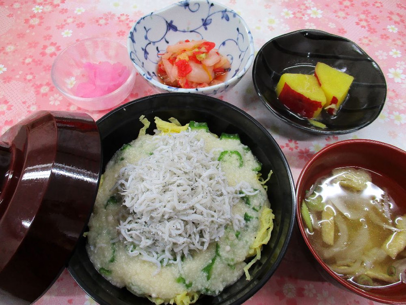 くみのき苑堺北　釜揚げシラス丼