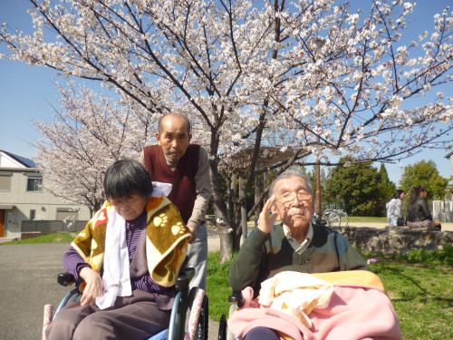 近くの公園へ”チョット散歩”・・・桜満開！