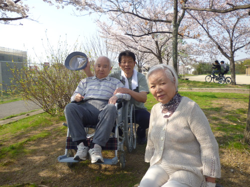 ☆　桜　満開　～　公園へ散歩　☆