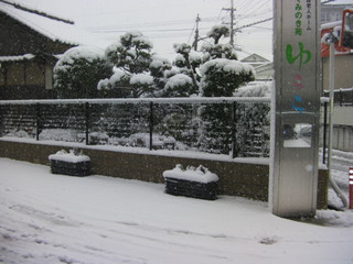 ゆららの雪模様