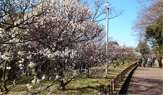 　❀荒山公園です～ッ！！❀