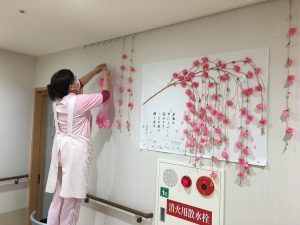 北長尾　桜の通り抜け☆（平成３０年３月１２日）