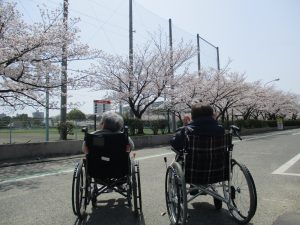 天気が良いので♪（平成３０年４月４日）