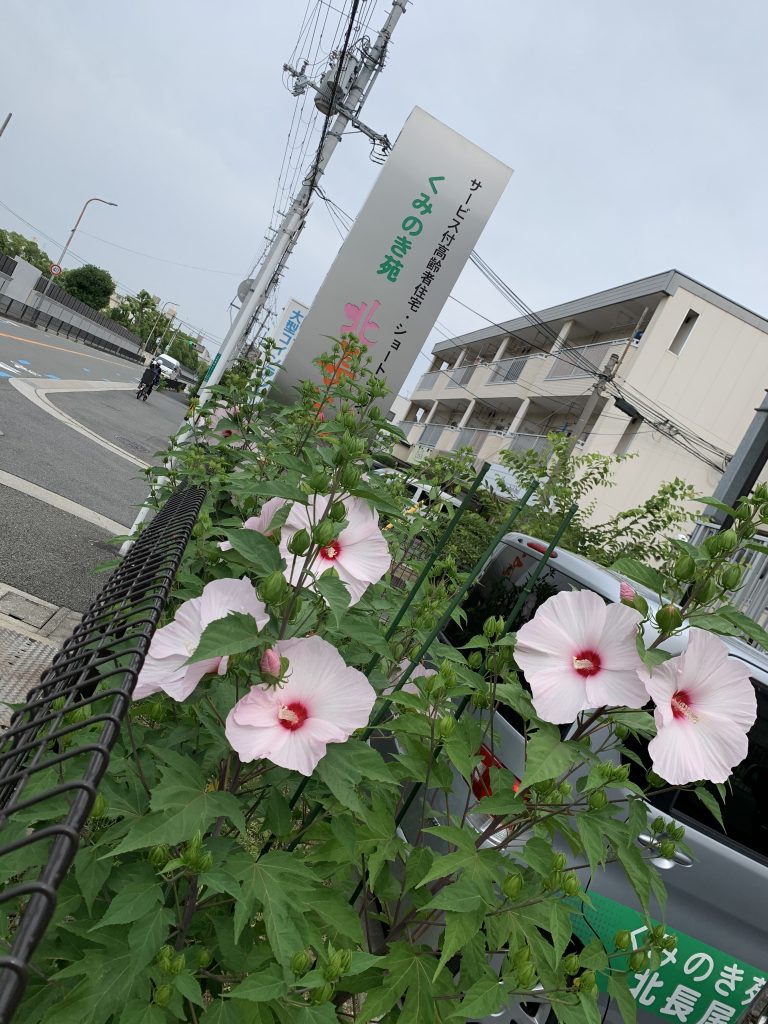 華やかになりました！（令和２年６月２７日）