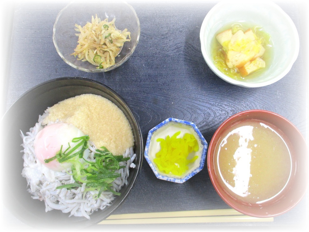 1/9 釜揚げしらす丼