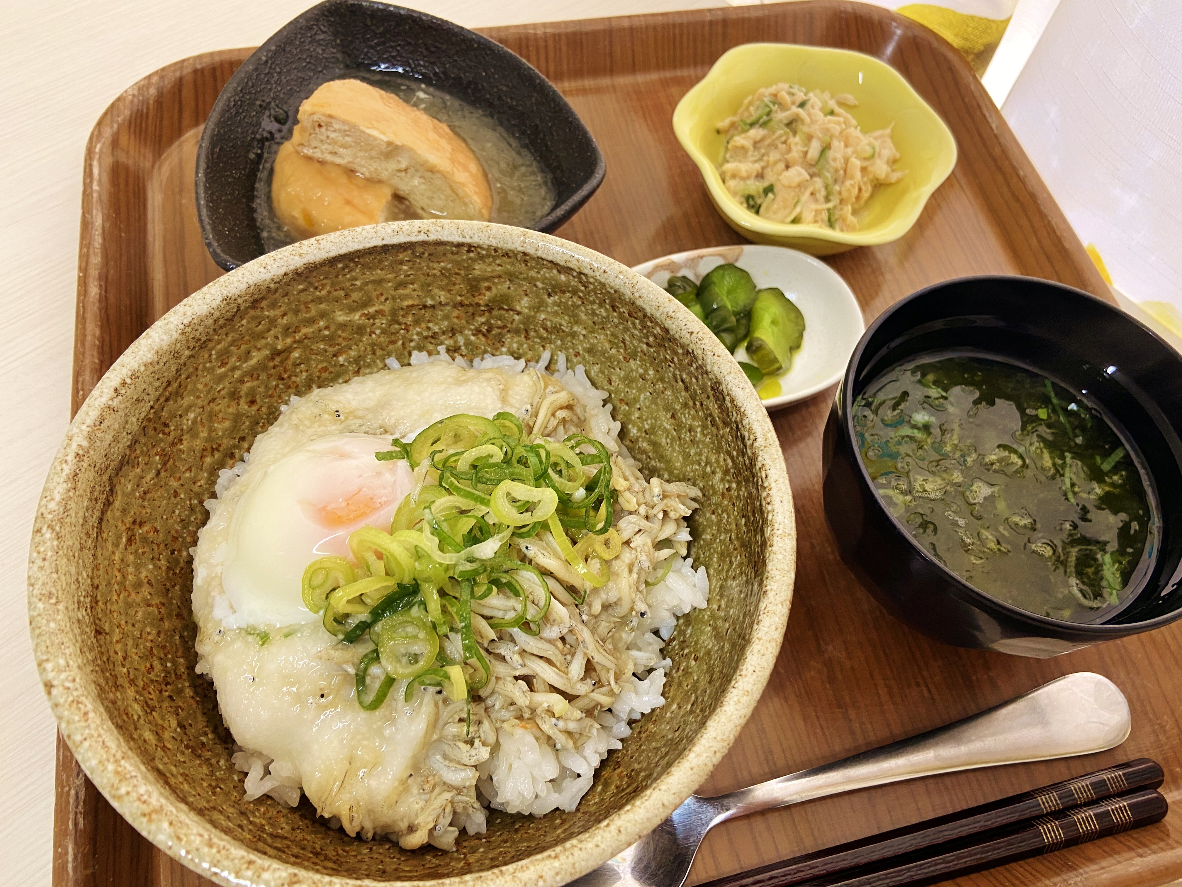 くみのき苑しらさぎ　釜揚げシラス丼