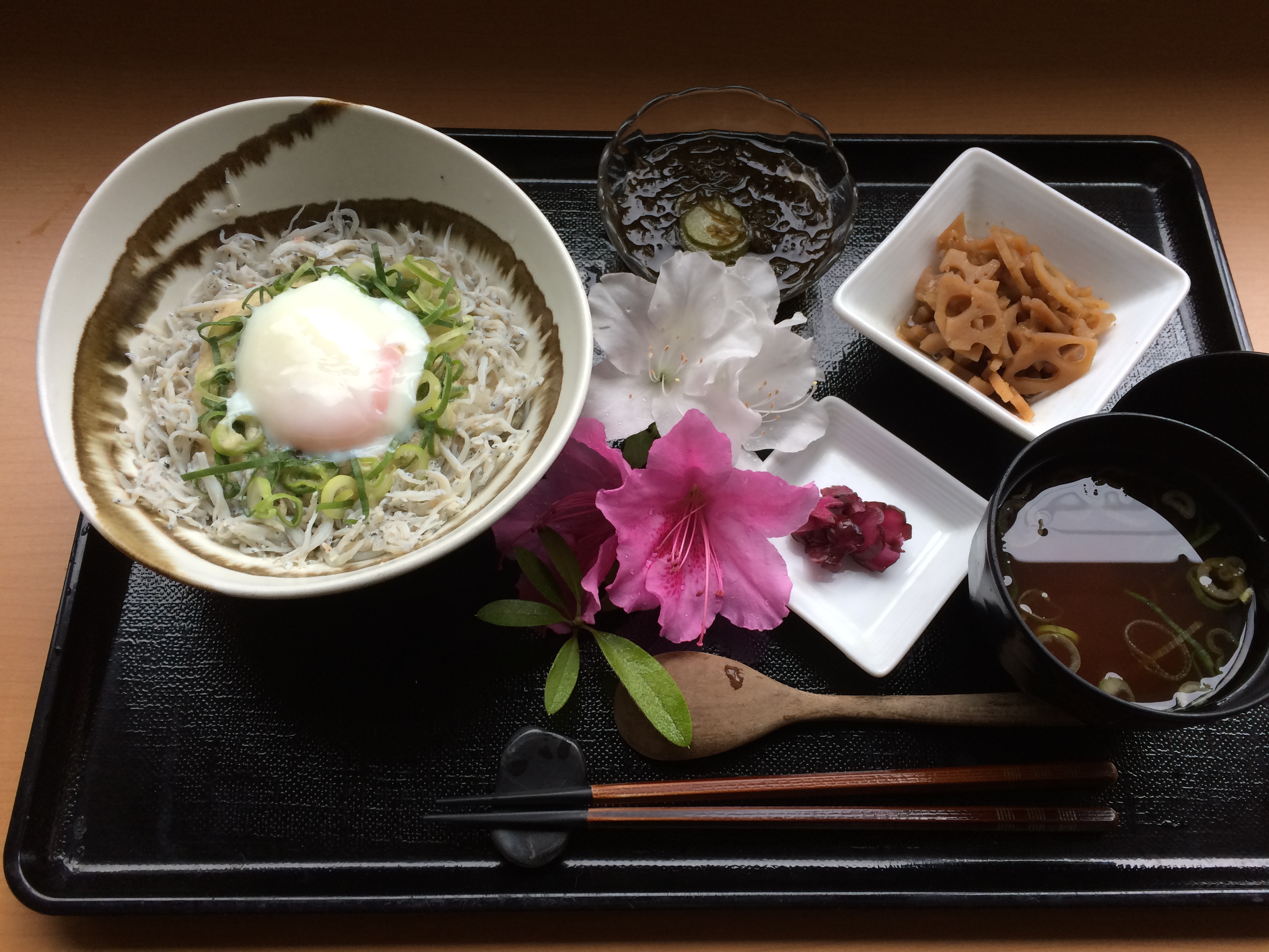 くみのき苑もず陵南　釜揚げシラス丼