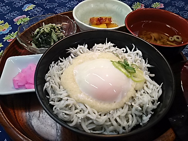 くみのき苑堺北　釜揚げシラス丼