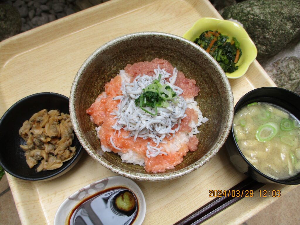 くみのき苑しらさぎ　海鮮丼