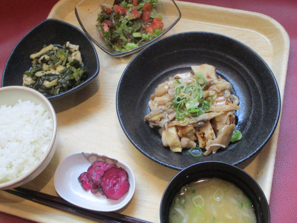 くみのき苑しらさぎ　鶏肉のきのこあんかけ