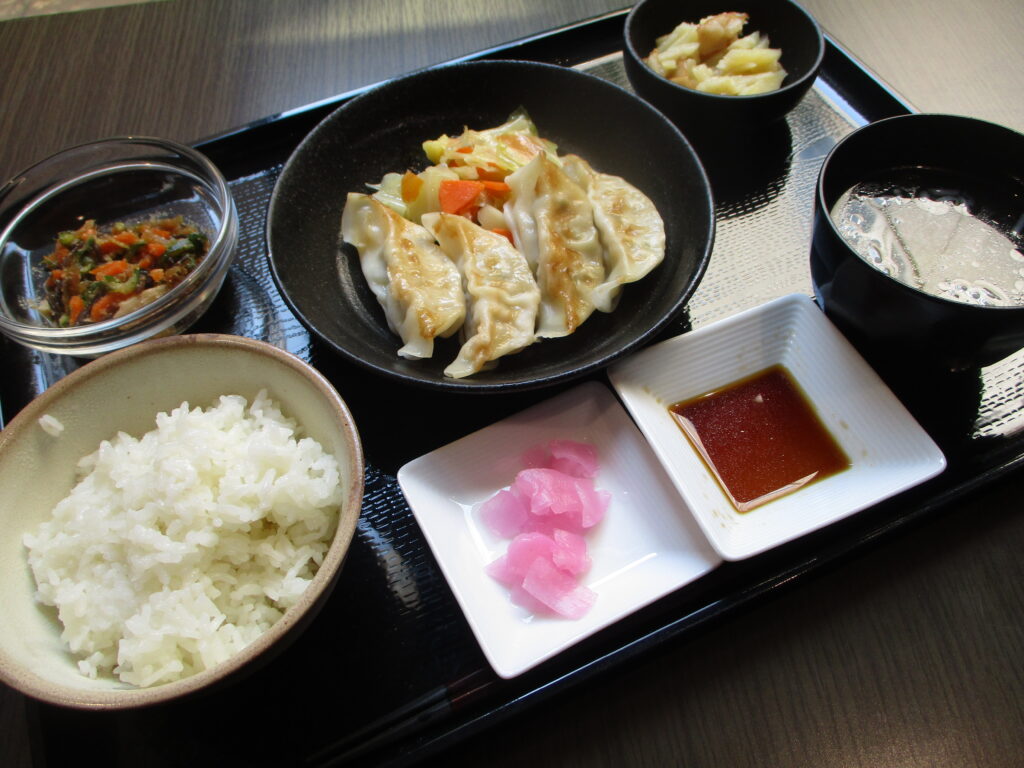 くみのき苑しらさぎ　焼餃子