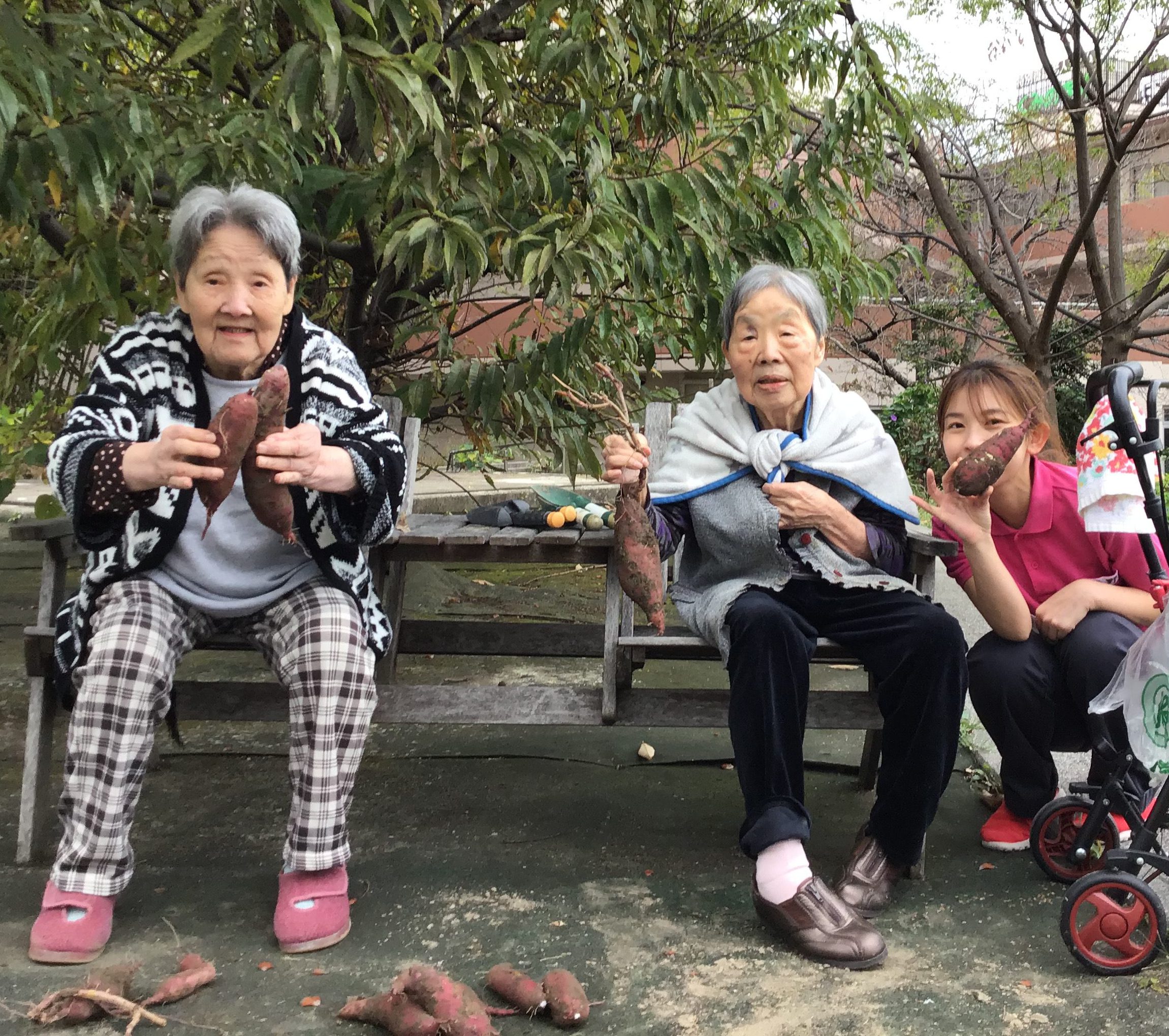 ☆芋掘り(令和3年11月15日)☆