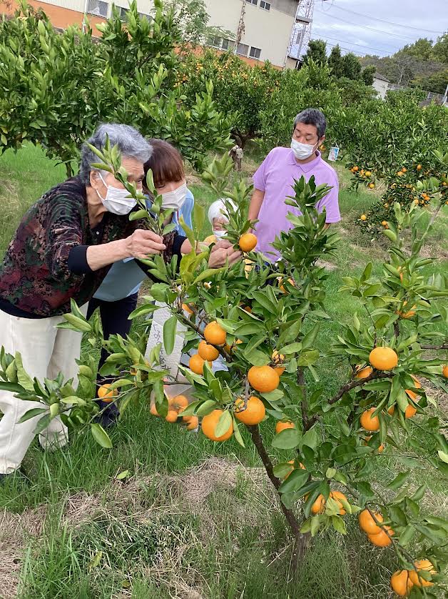 🍊みかん狩り🍊令和5年11月17日