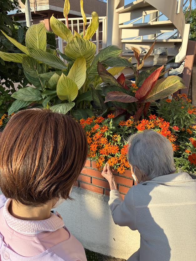 🐾🐾リハビリ散歩🐾🐾令和7年11月2日