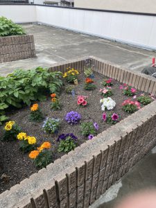 お花を植えました♪（令和４年４月２２日）