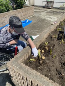 じゃがいも収穫！！（令和４年６月４日）