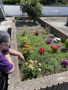 お花のお世話♪（令和４年８月２９日）