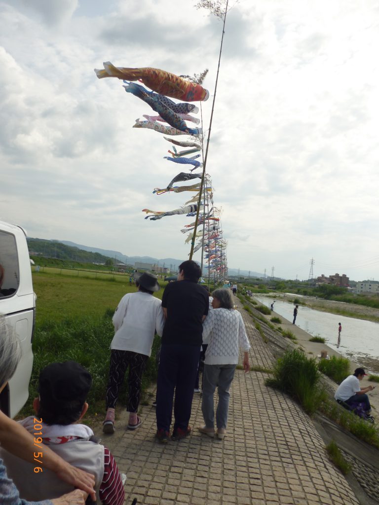 ☆　鯉のぼり　河川敷散歩　☆　　　　令和1年5月6日