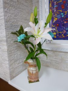 ✿10月のお花✿