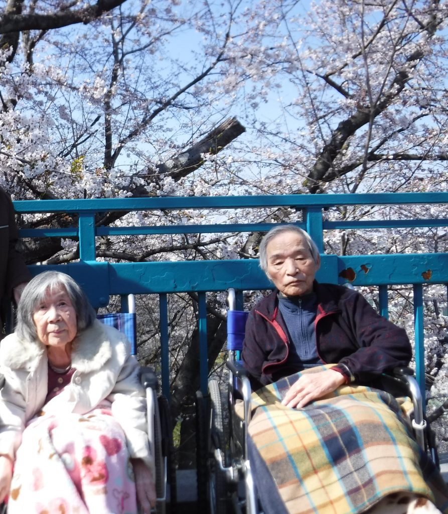 🌸お花見🌸