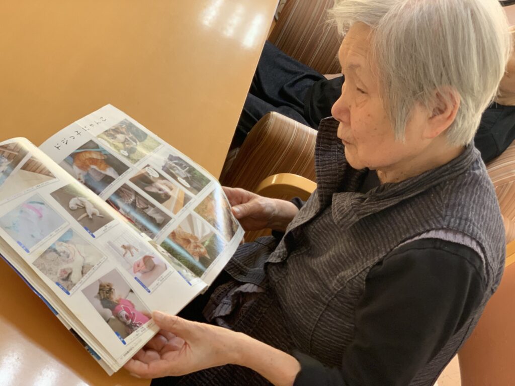 猫雑誌の観賞会🐈